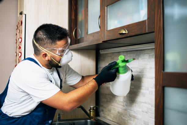 Best Pest Removal Services  in Maysville, OK
