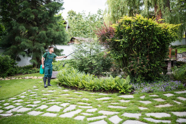 Best Affordable Pest Control Services  in Maysville, OK
