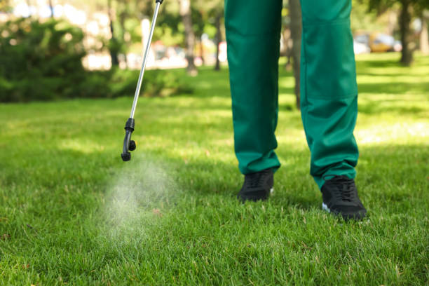 Best Mosquito Control Services  in Maysville, OK