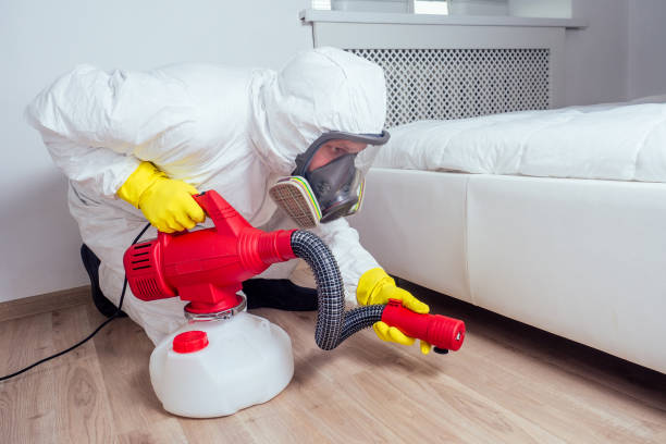 Best Wasp Removal Services  in Maysville, OK