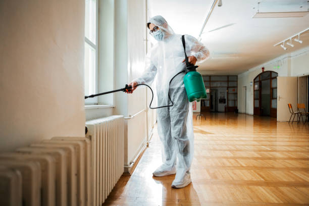 Best Affordable Pest Control Services  in Maysville, OK