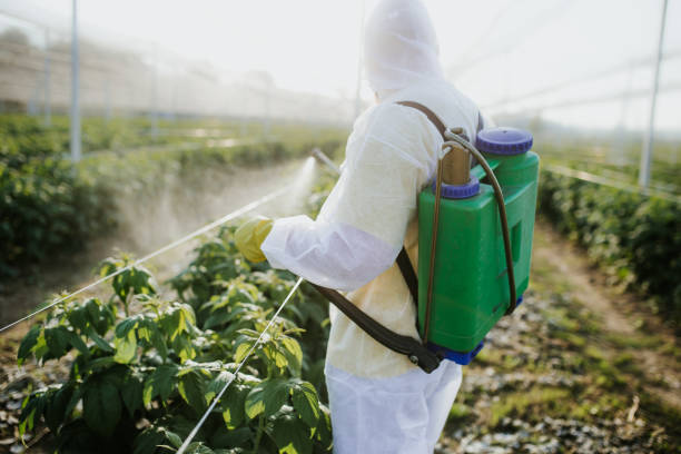 Best Flea Control Services  in Maysville, OK